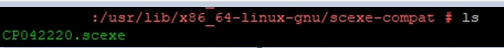 Terminal: ls im Verzeichnis scexe-compat zeigt die Datei CP042220.scexe